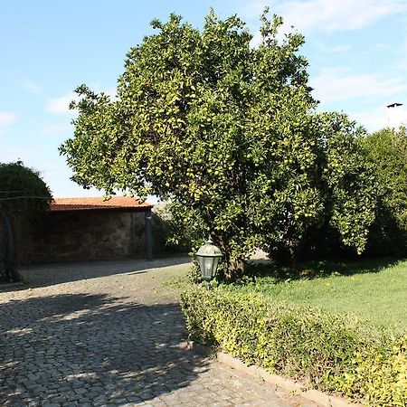 Вилла Casa Da Miza Vilar do Pinheiro Экстерьер фото